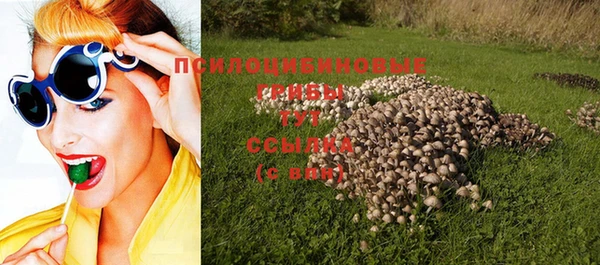 ALPHA-PVP Богородск
