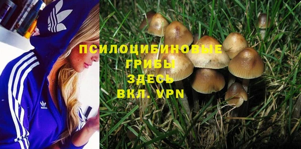 трава Богданович
