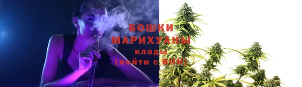 трава Богданович
