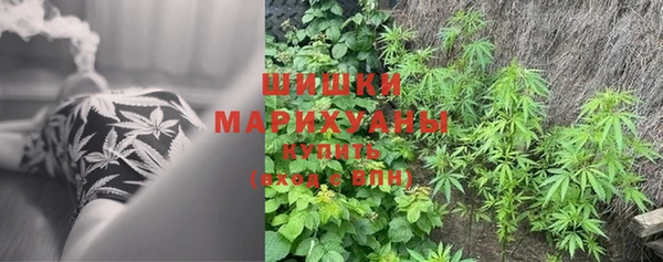 2c-b Богородицк