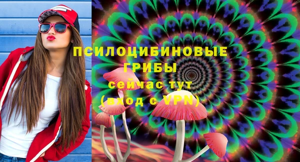 2c-b Богородицк